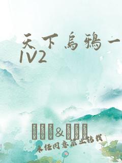 天下乌鸦一般黑1V2