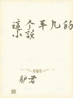 这个平凡的男子小说