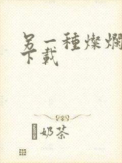 另一种灿烂生活下载