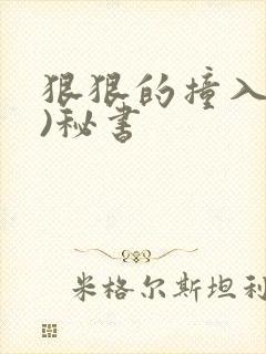 狠狠的撞入(h)秘书