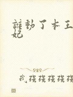 谁动了本王的悍妃