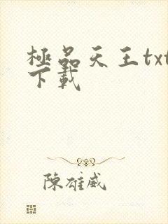 极品天王txt下载