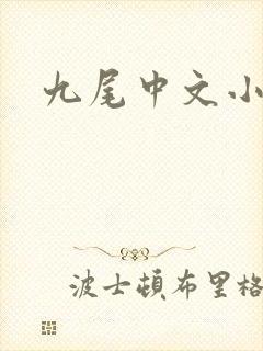 九尾中文小说网