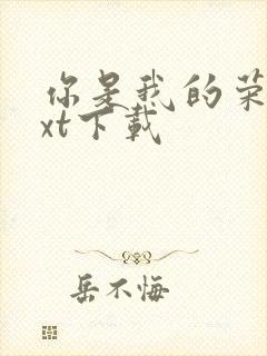 你是我的荣耀txt下载