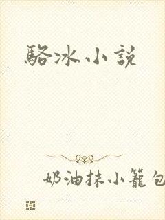 骆冰小说