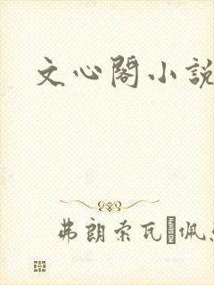 文心阁小说