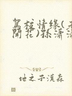 驾校情缘(老树开花)孙潇潇笔趣阁