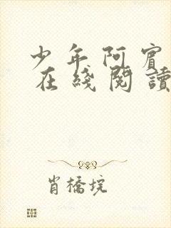 少 年 阿 宾 在 线 阅 读