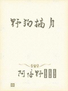 野狗摘月