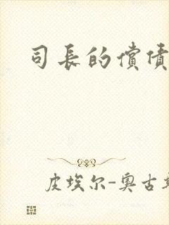 司长的偿债新娘