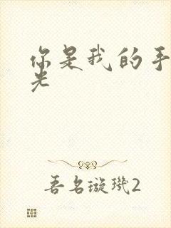 你是我的手冢国光