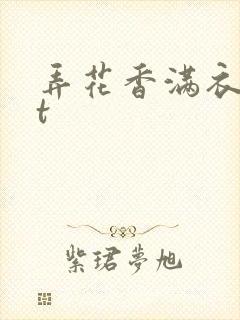 弄花香满衣txt