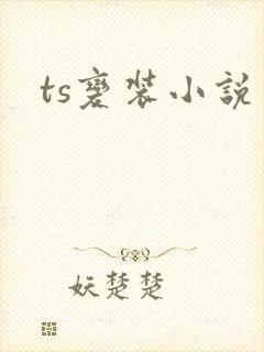 ts变装小说