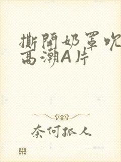 撕开奶罩吮奶头高潮A片