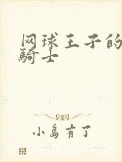 网球王子的公主骑士
