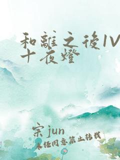 和离之后1V1十夜灯