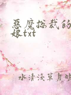 恶魔总裁的小新娘txt