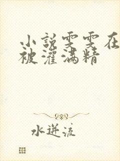 小说雯雯在工地被灌满精