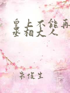 皇上不能再进了丞相大人