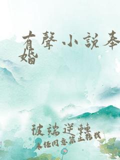 有声小说奉子成婚