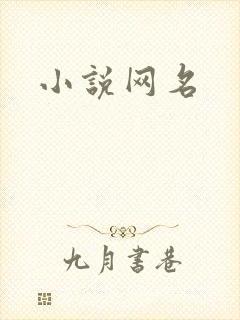 小说网名