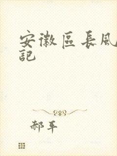安徽区长风流日记