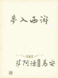 梦入西游