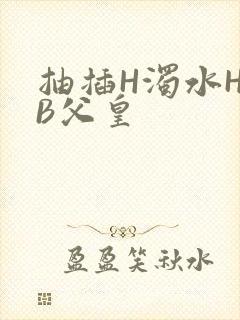 抽插H浊水H嫩B父皇