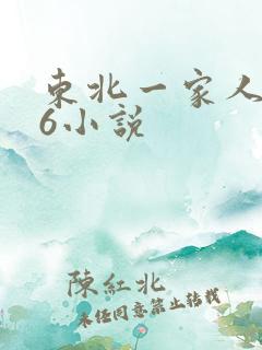 东北一家人1一6小说
