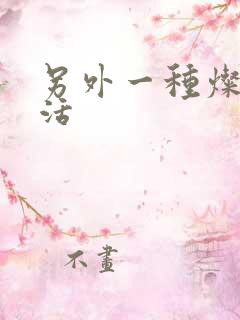 另外一种灿烂生活