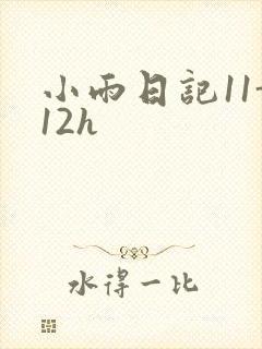 小雨日记11-12h