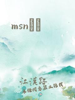 msnС˵