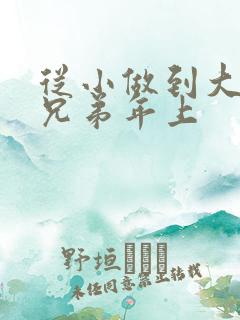 从小做到大骨科兄弟年上