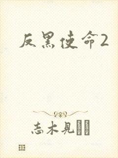 反黑使命2