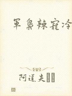 军枭辣宠冷妻