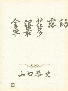 金银花露的哪个车最多