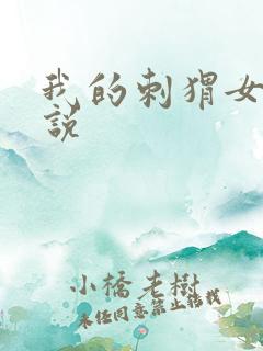 我的刺猬女孩小说