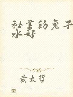 秘书的兔子好软水好