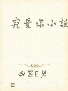 宠爱你小说