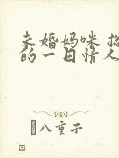 未婚妈咪 总裁的一日情人