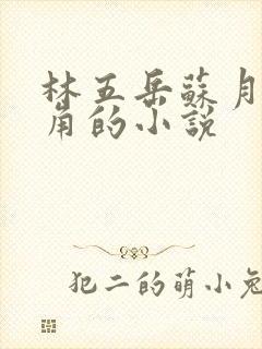 林五岳苏月灵主角的小说