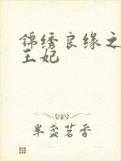 锦绣良缘之北地王妃