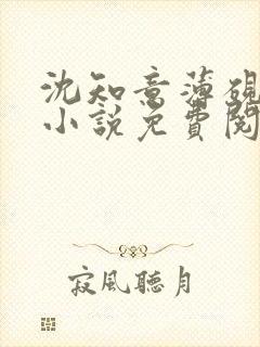 沈知意薄砚霆的小说免费阅读