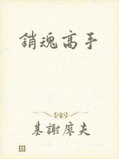 销魂高手