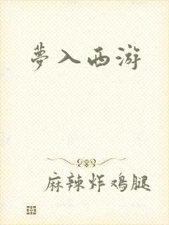 梦入西游