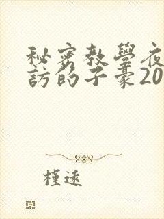 秘密教学夜晚到访的子豪20话