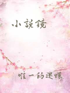 小说镜