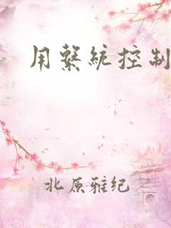 用系统控制女神