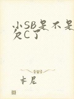 小SB是不是又欠C了