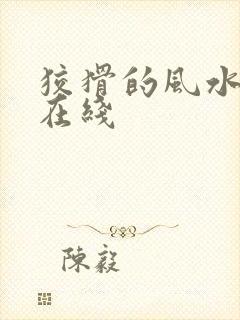 狡猾的风水相师在线